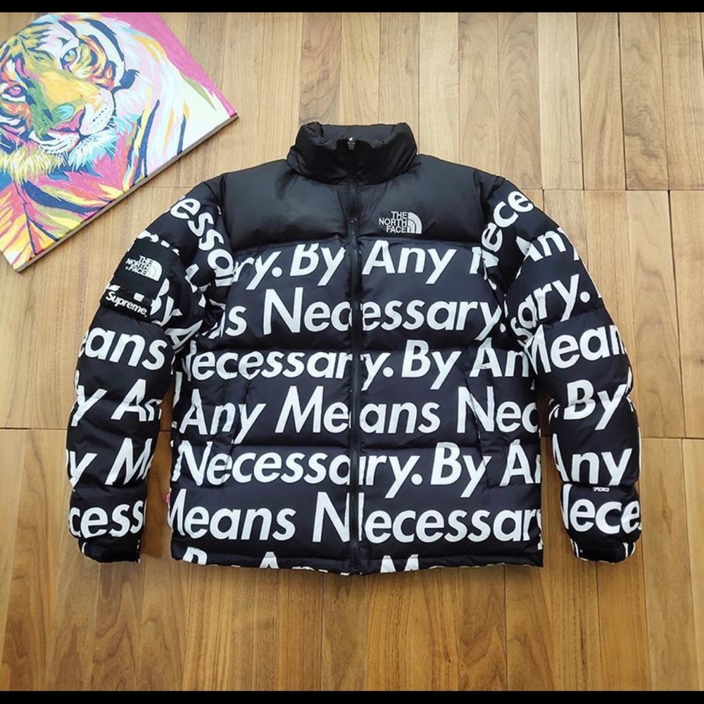 The north face jacket
